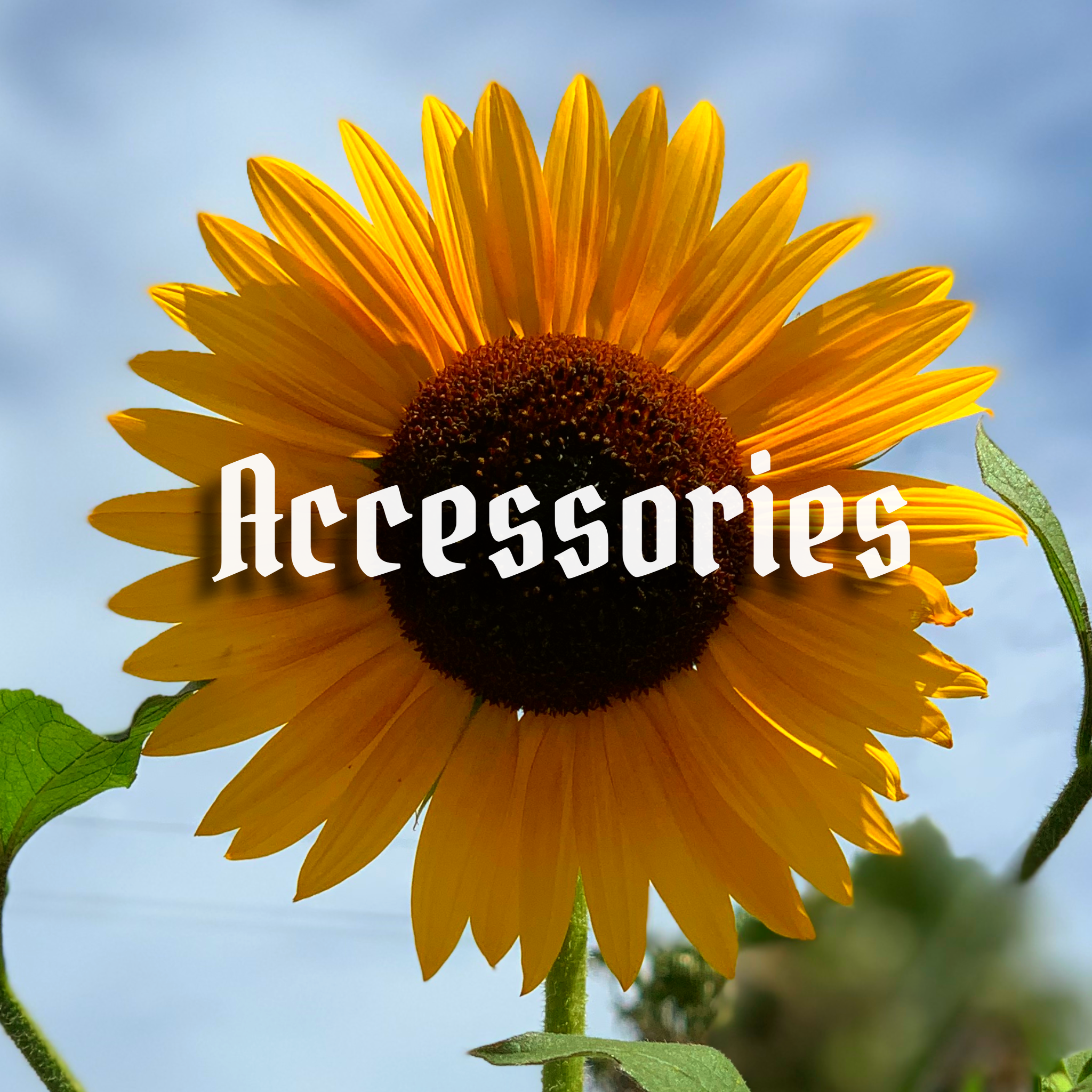 Accessories