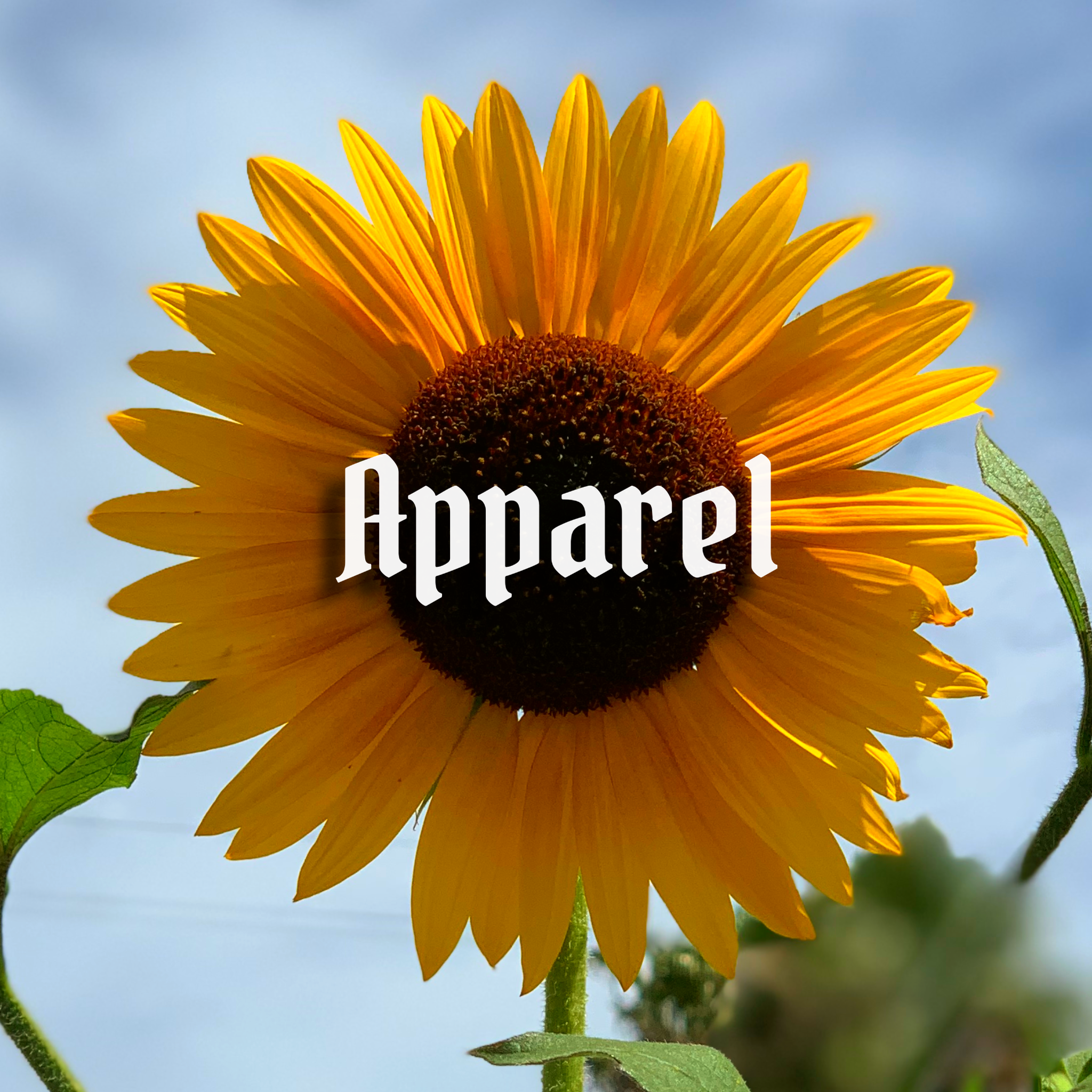 Apparel